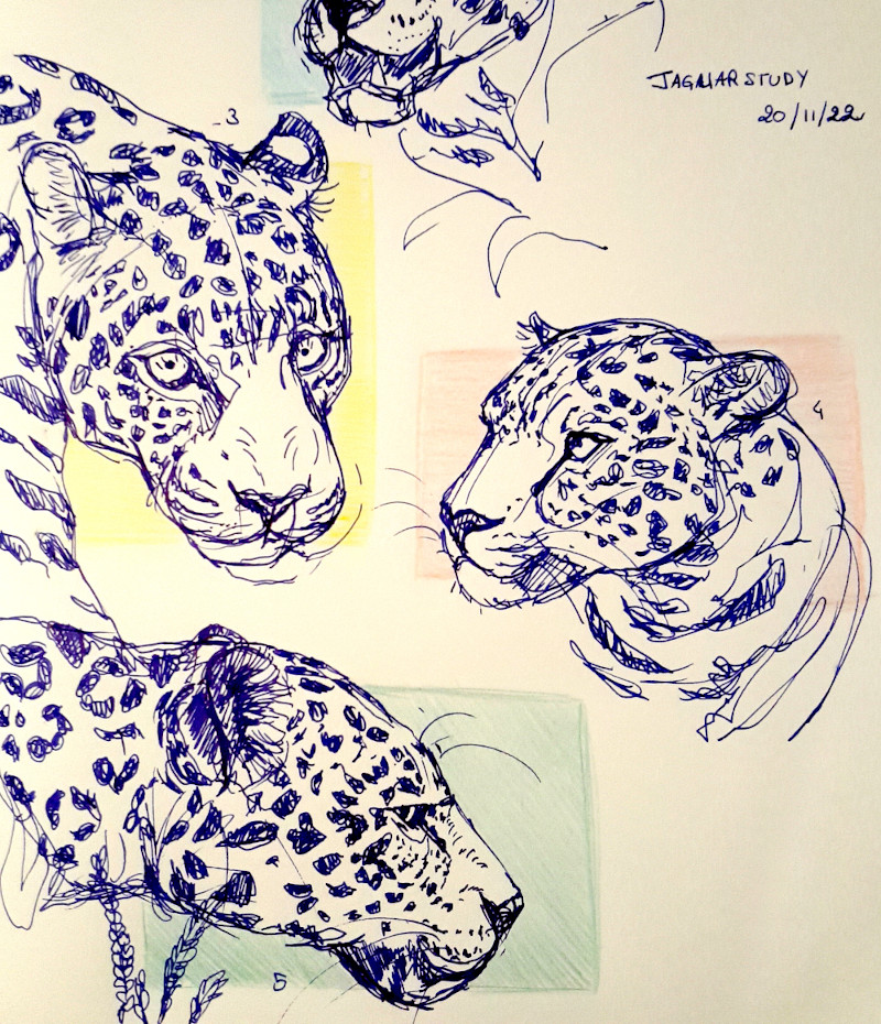 trois têtes de jaguar