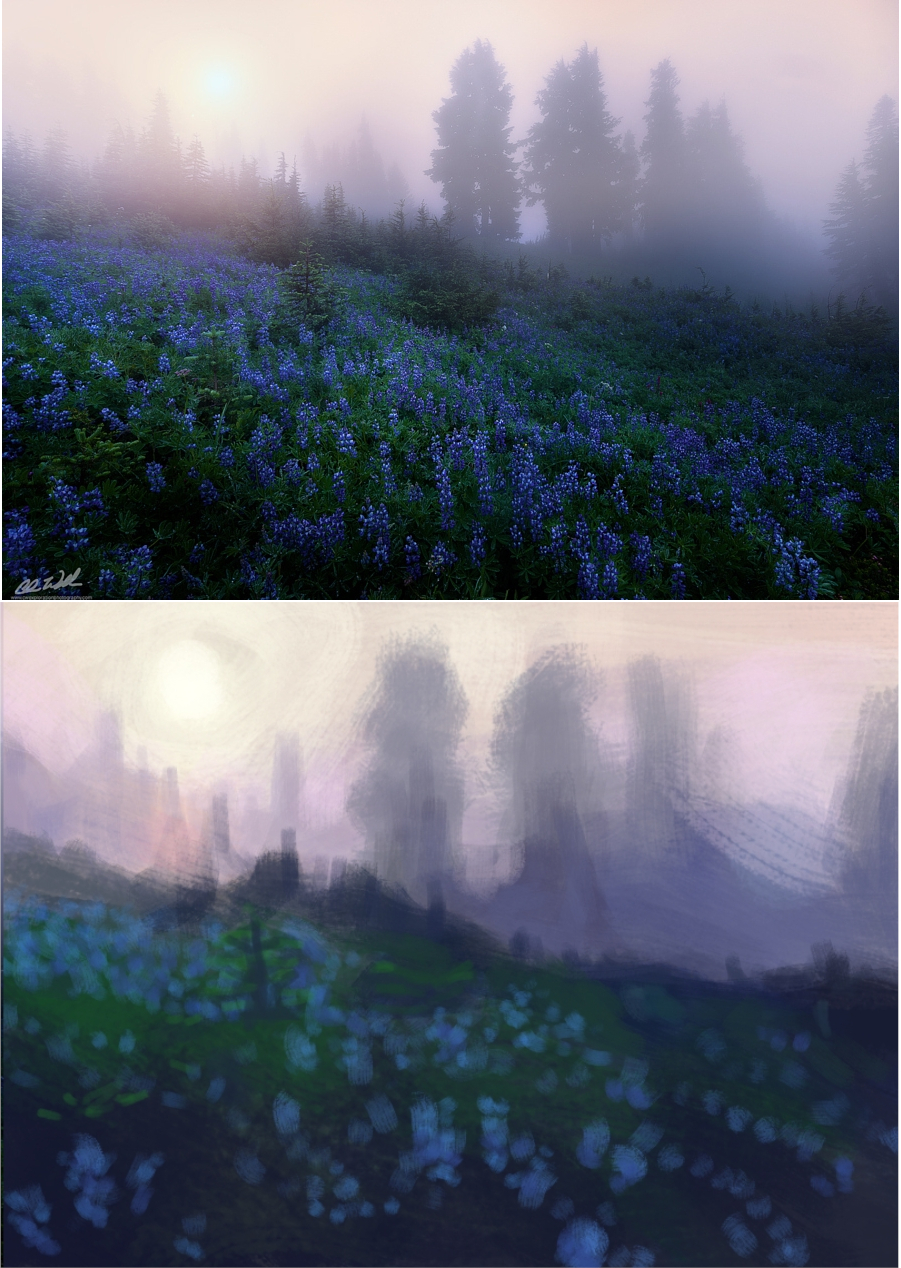 Champ de fleurs bleues